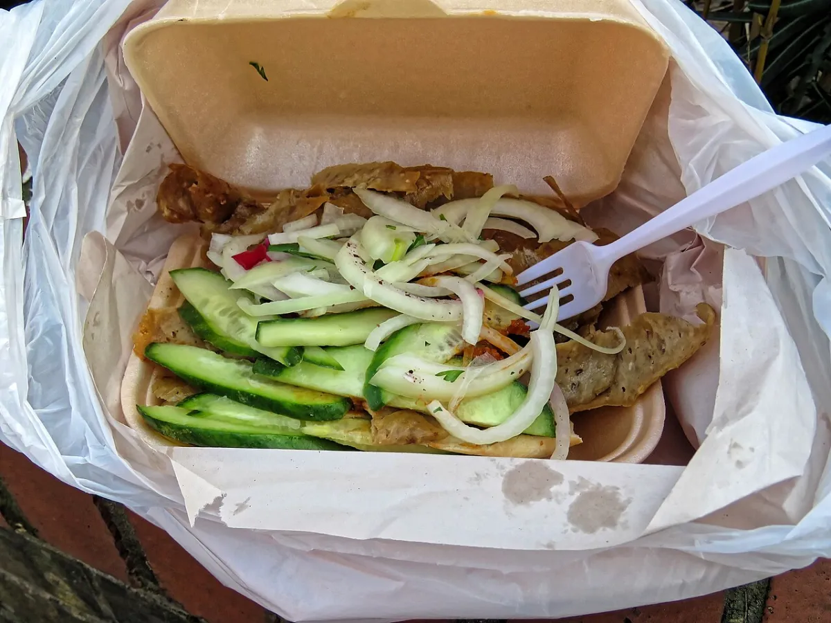 Doner kebab plate (generic photo, not from this shop)