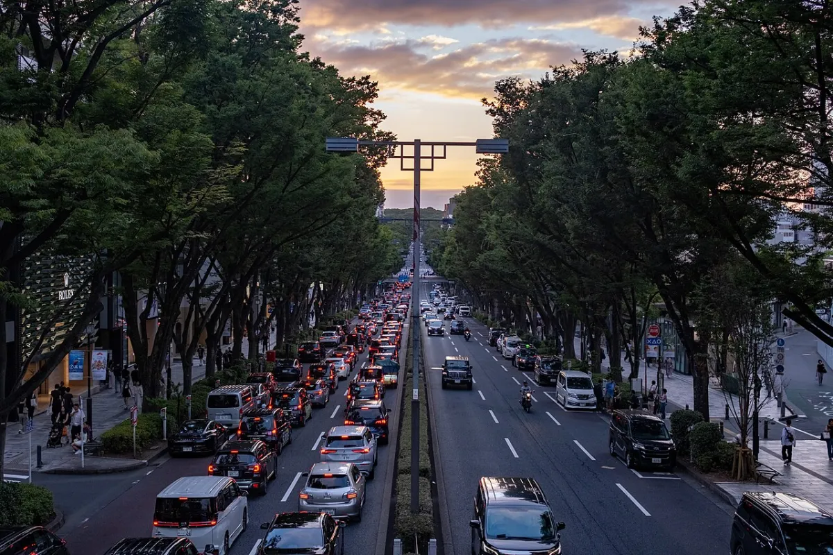 Omotesando Avenue at sunset, a tree-lined street in Tokyo's Harajuku and Omotesando area